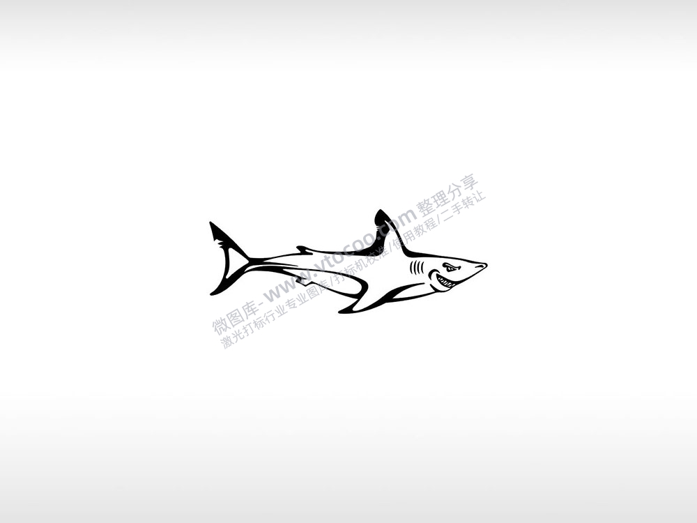 鲨鱼海洋动物脊索动物门肌肉发达AI8.0格式激光打标文件通用矢量图