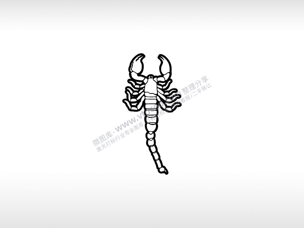 蝎子白蝎子线条图节肢动物AI8.0格式激光打标文件通用矢量图