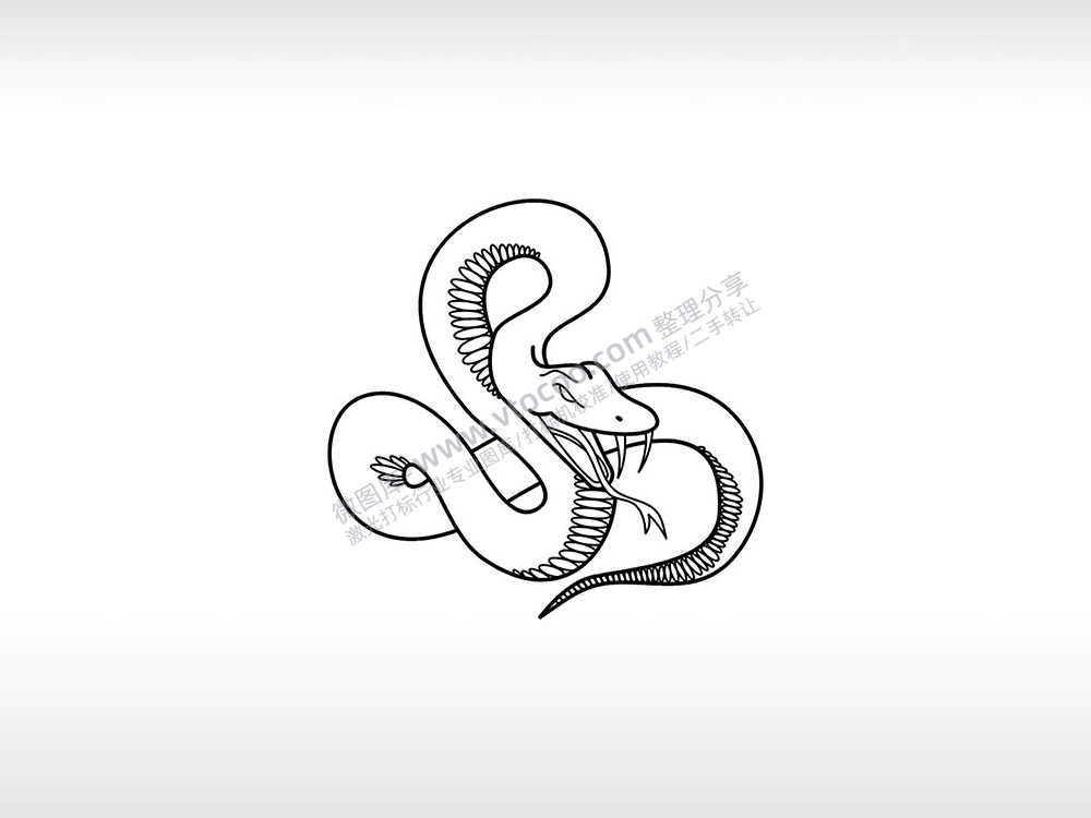 蛇吐舌爬行动物AI8.0格式激光打标文件通用矢量图