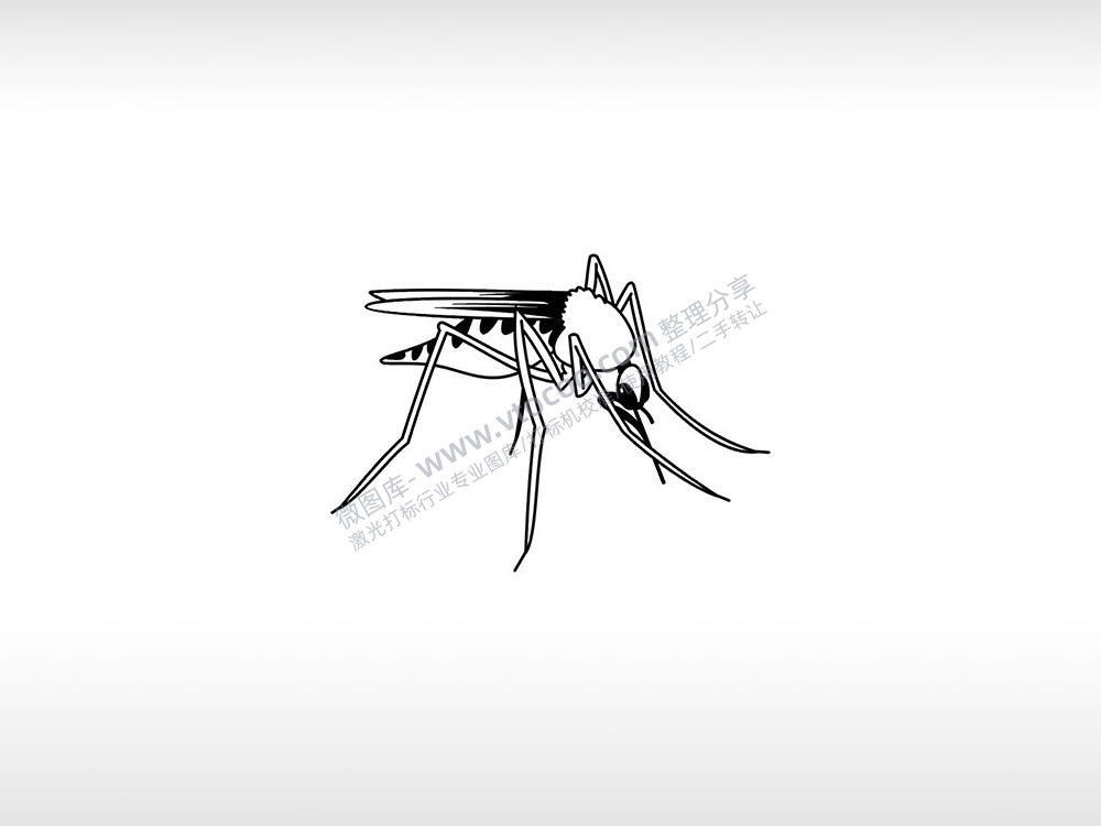 蚊子卡通昆虫AI8.0格式激光打标文件通用矢量图