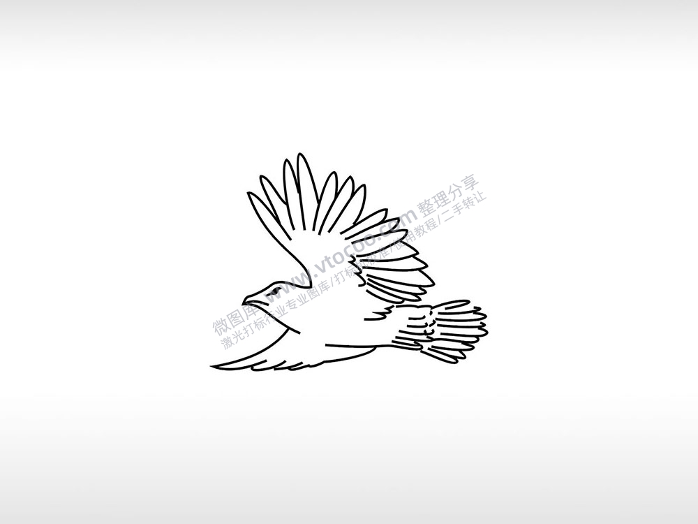 老鹰自由的飞翔卡通logo鹰科AI8.0格式激光打标文件通用矢量图