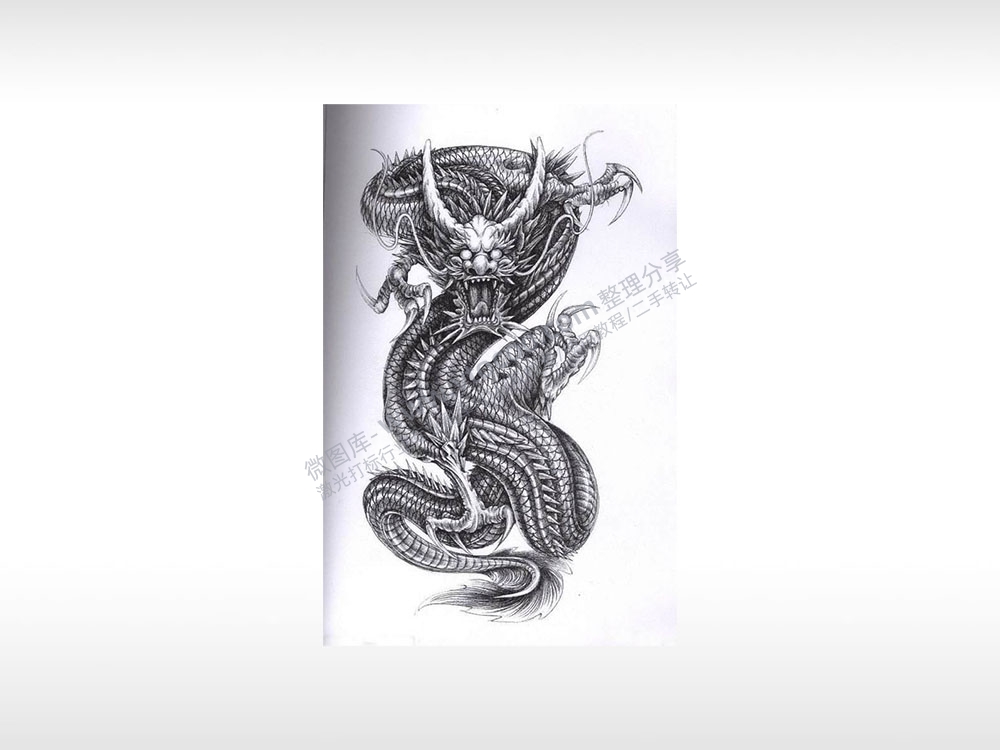 龙黑龙云螭神龙游龙震鳞过肩龙猛龙通用位图激光打标文件