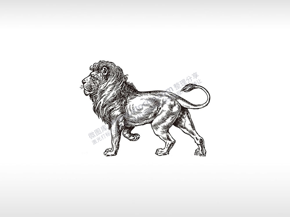 狮子狮子身万兽之王狻猊通用位图激光打标文件