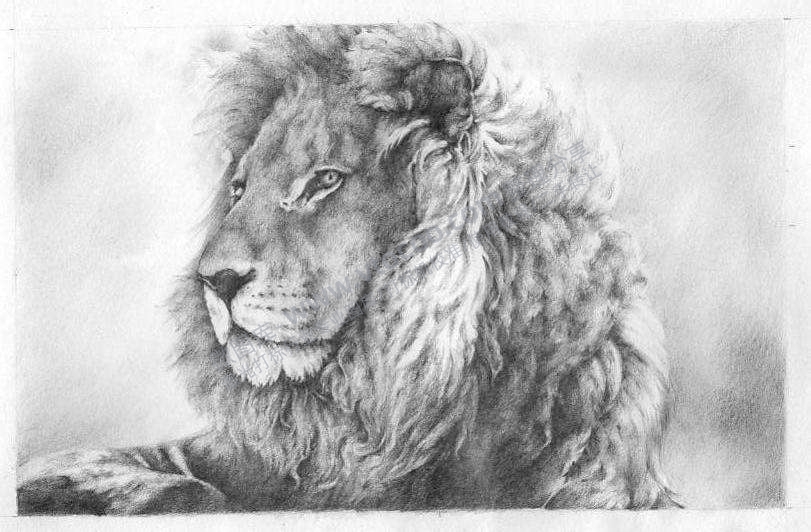 狮子狮子头万兽之王狻猊通用位图激光打标文件