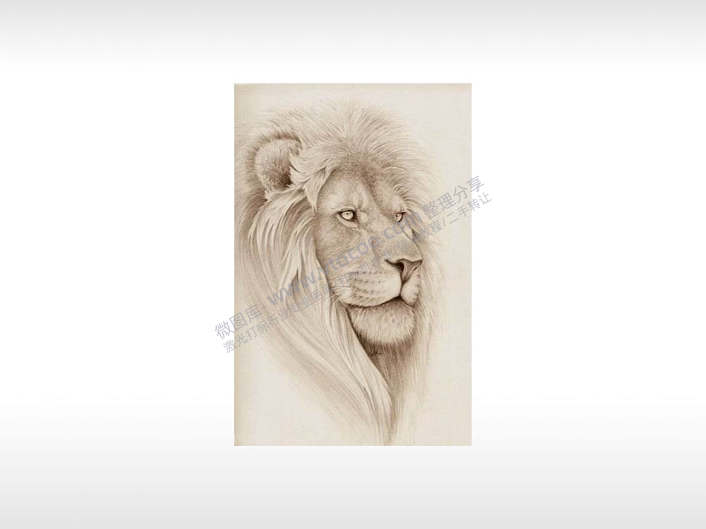 狮子狮子头万兽之王威严通用位图激光打标文件