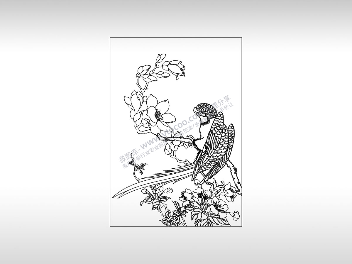 鸟语花香花鸟图鸟线描鹦鹉说话兰花PLT格式激光打标文件通用矢量图