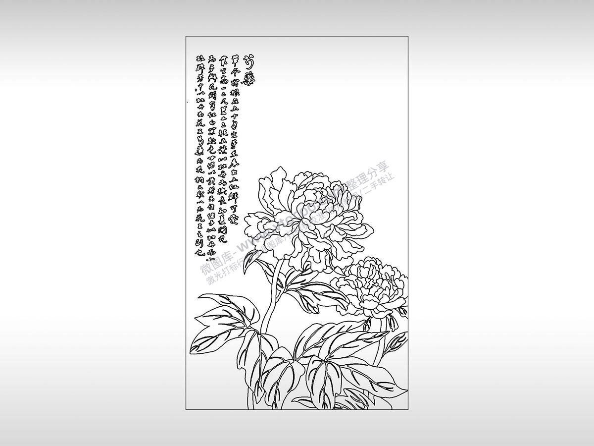 芍药花情有独钟美丽优雅植物PLT格式激光打标文件通用矢量图