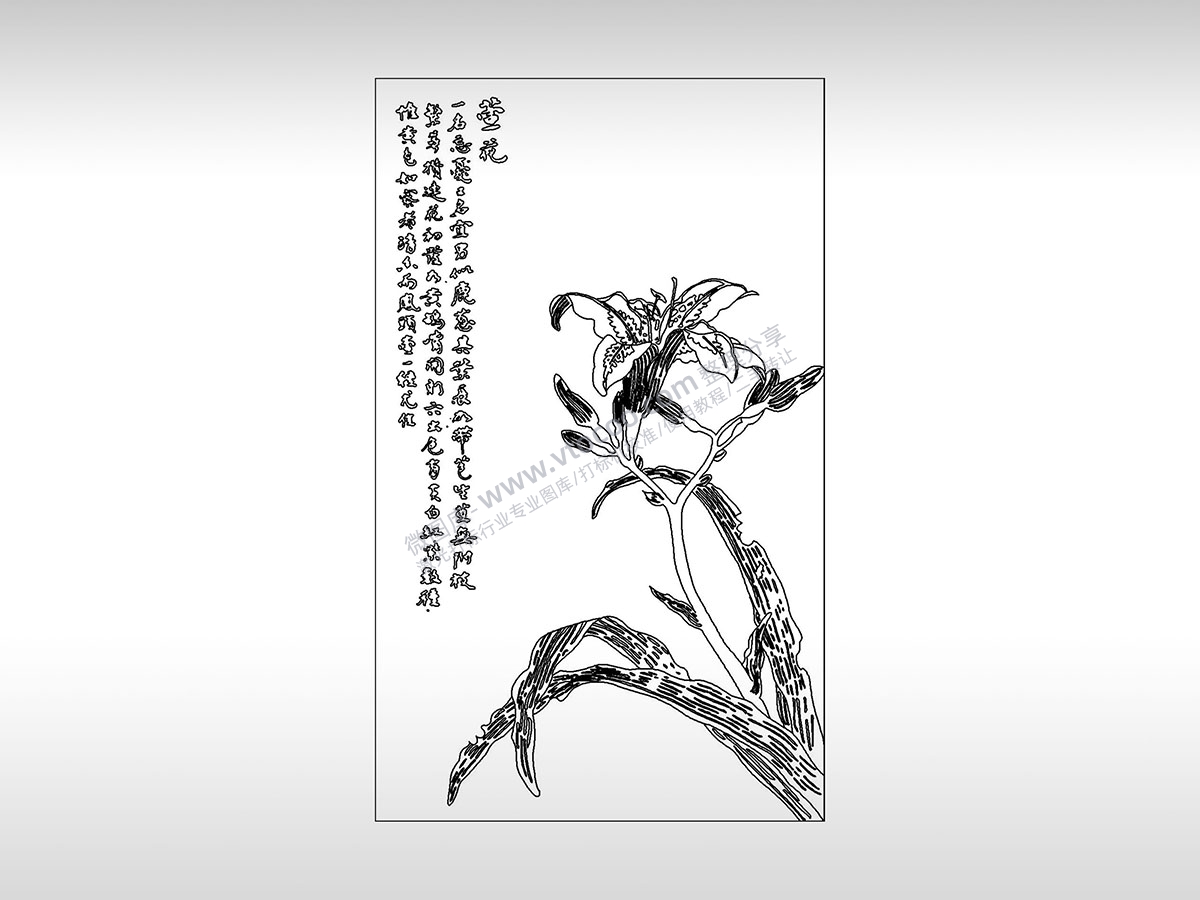 萱花忘忧母爱忘却植物PLT格式激光打标文件通用矢量图