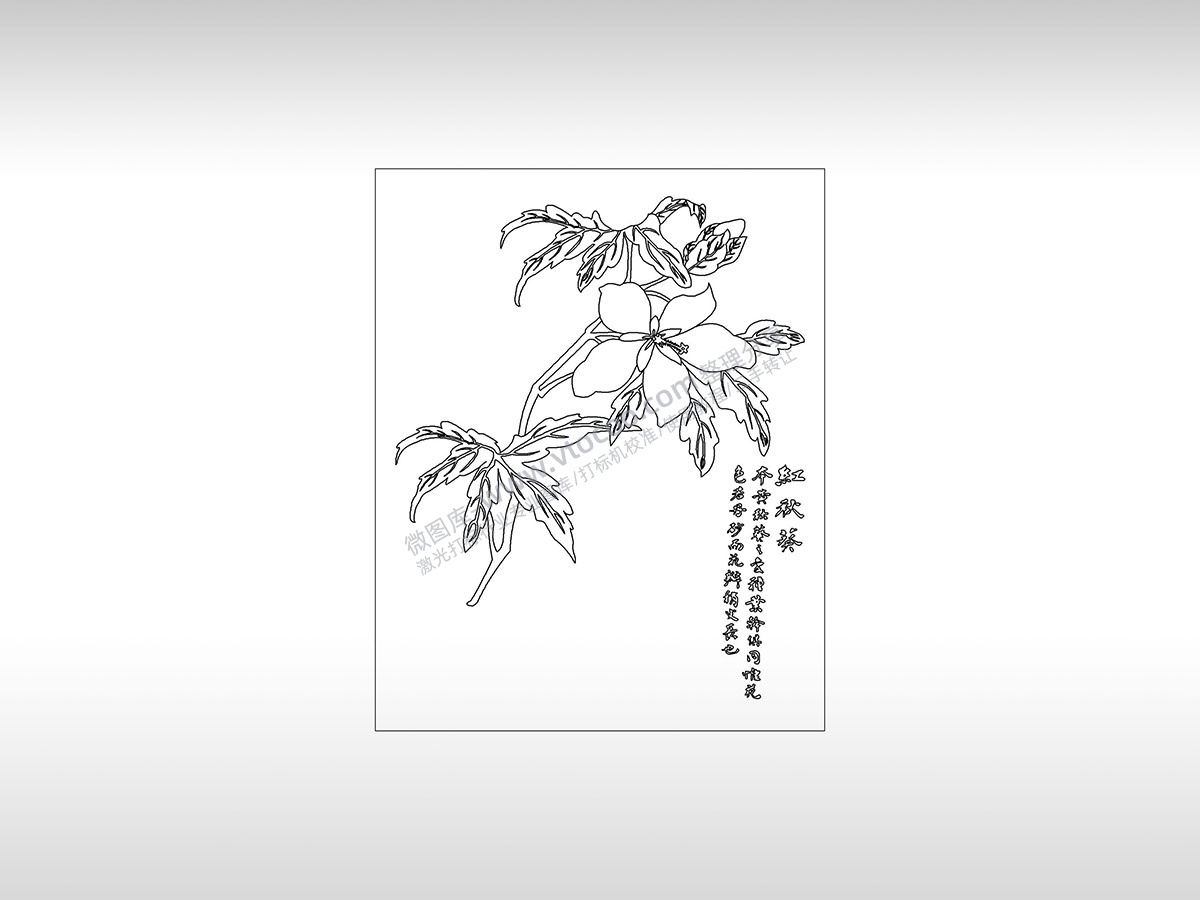 红秋葵热恋热爱娇嫩植物PLT格式激光打标文件通用矢量图