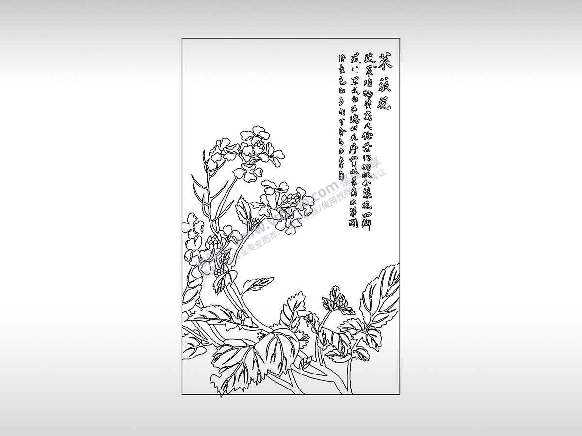 莱丝花惹人怜爱植物PLT格式激光打标文件通用矢量图