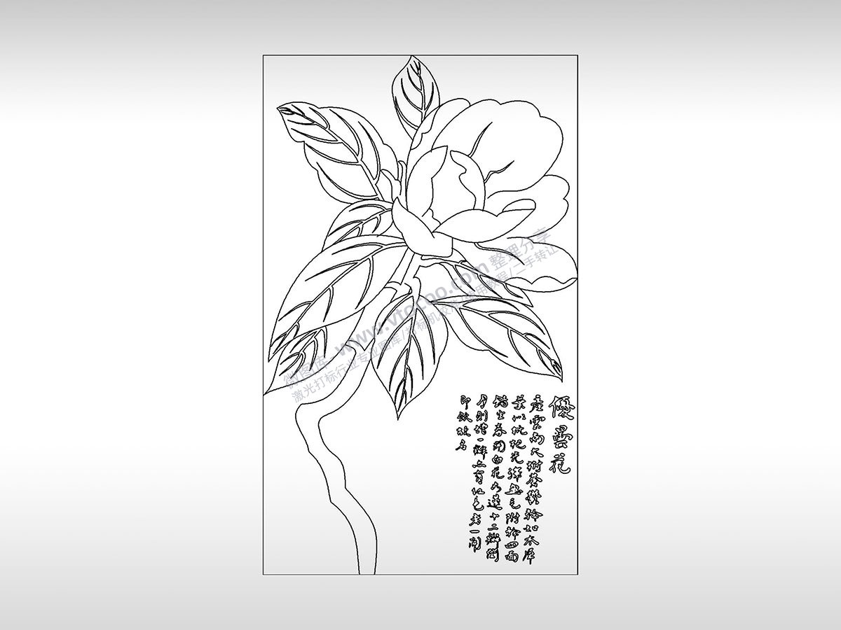 夏芸花保护庇护植物PLT格式激光打标文件通用矢量图