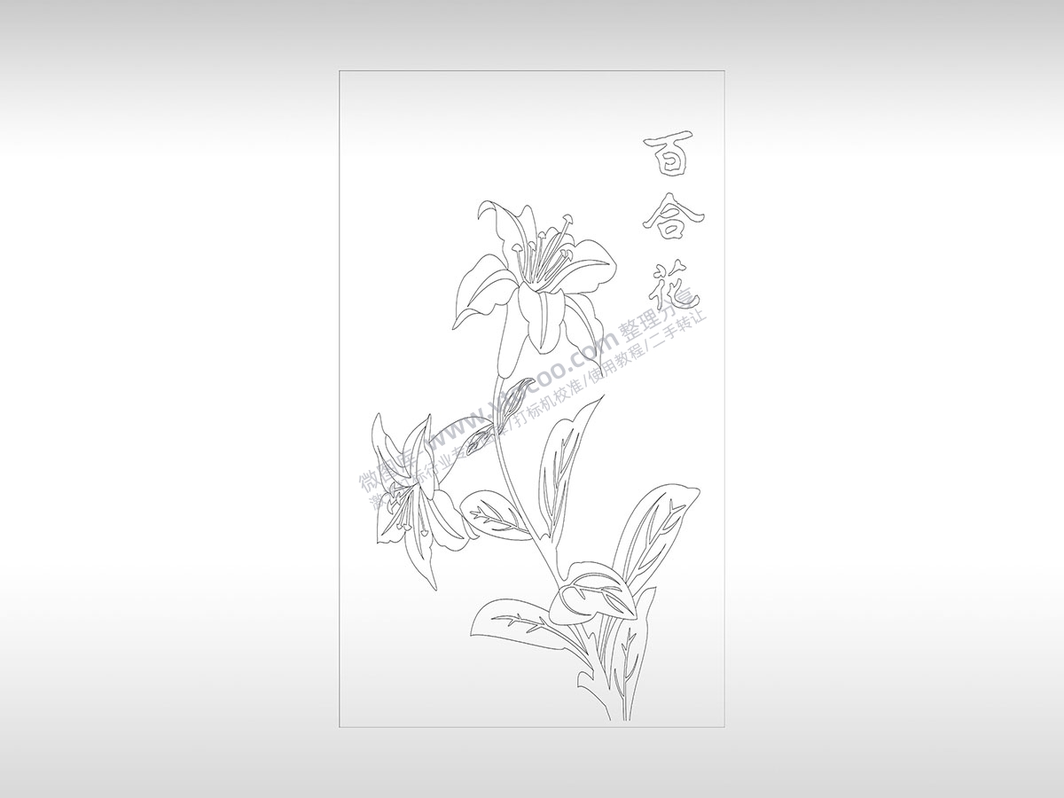 百合花纯洁忠贞高尚PLT格式激光打标文件通用矢量图