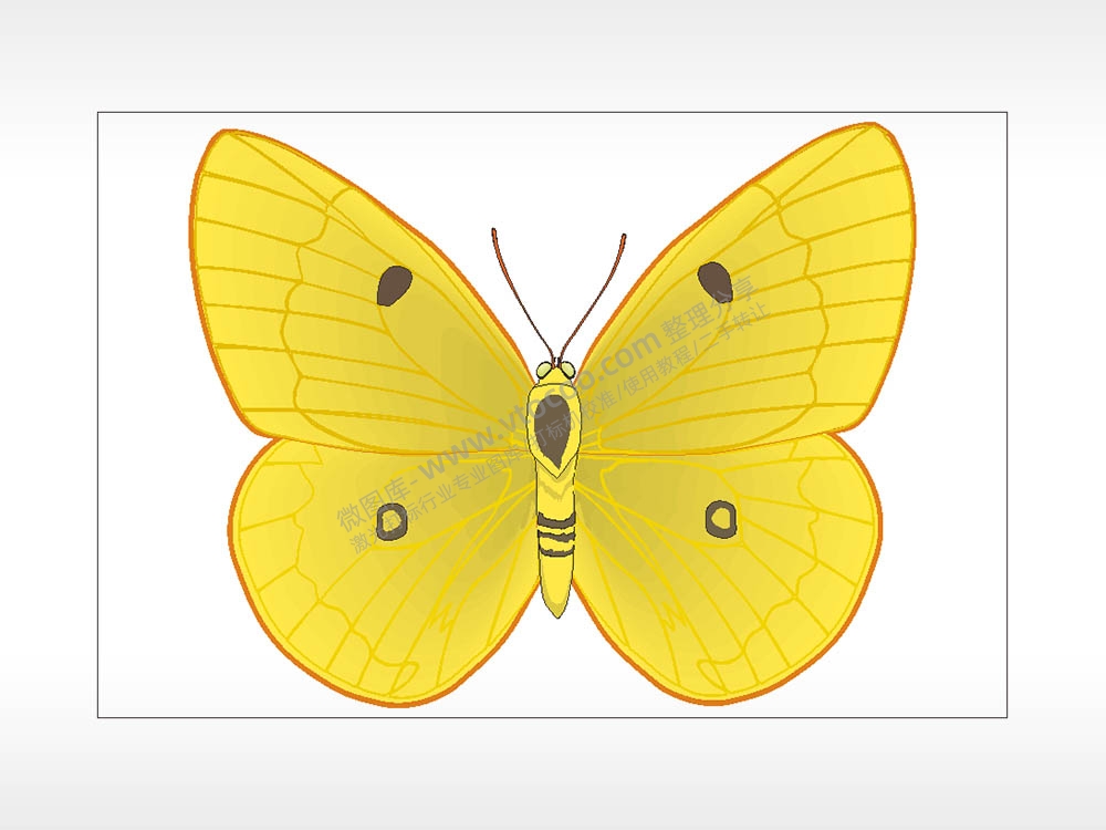 黄蝴蝶卡通名图精品车贴精选AI8.0格式激光打标文件通用矢量图