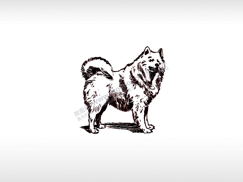 萨摩耶2宠物狗牌PLT格式激光打标文件通用矢量图