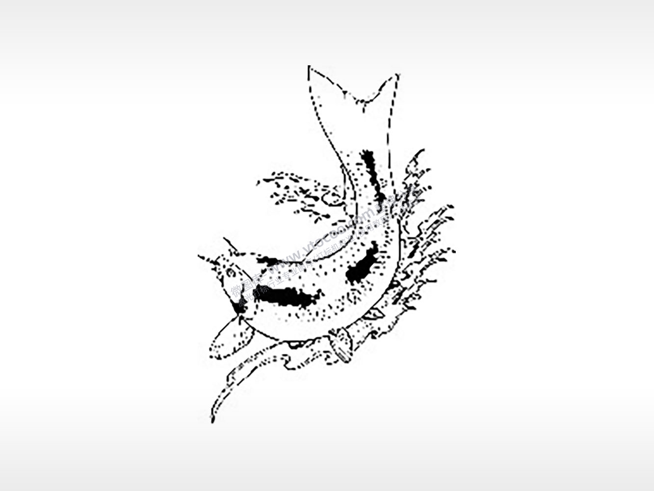 锦鲤跃龙门坚韧和努力飞禽走兽PLT格式激光打标文件通用矢量图