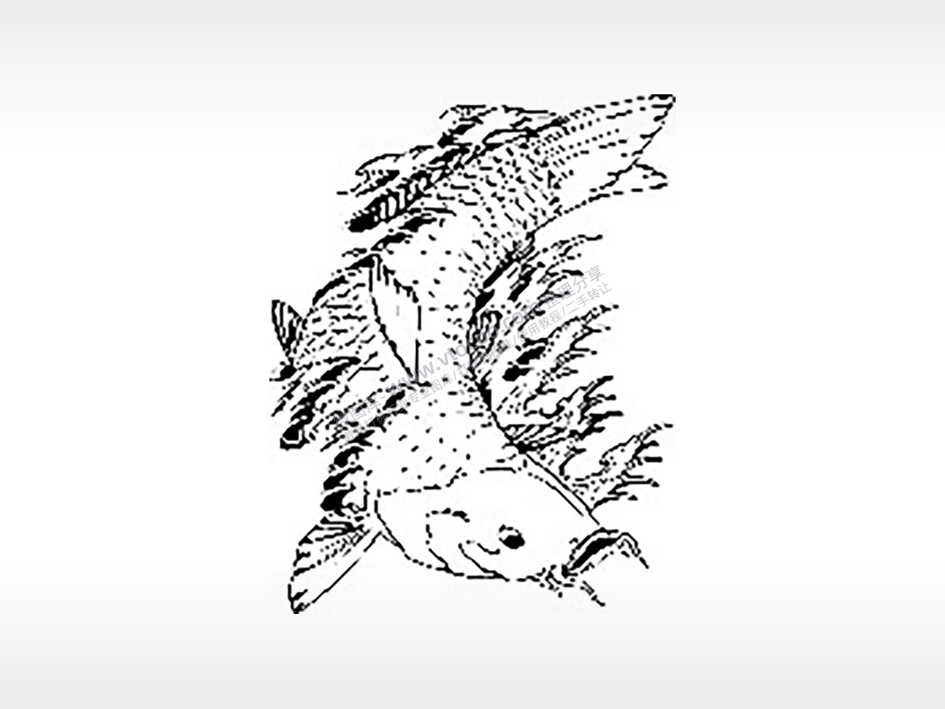 锦鲤好运莲花荷塘飞禽走兽PLT格式激光打标文件通用矢量图