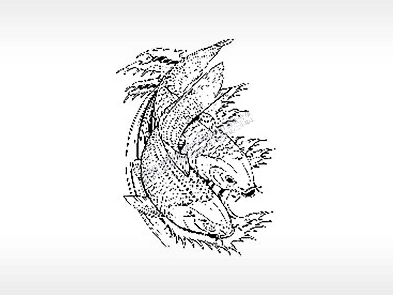 双锦鲤好运莲花荷塘飞禽走兽PLT格式激光打标文件通用矢量图