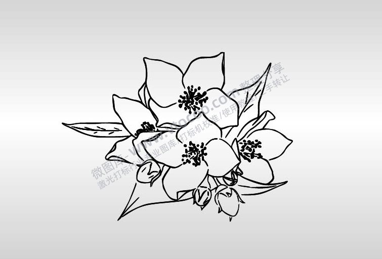 山茶花手绘插画AI8.0格式激光打标文件通用矢量图-01